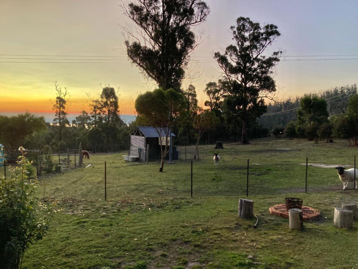 Winganah Cottage Murdunna Esterno foto