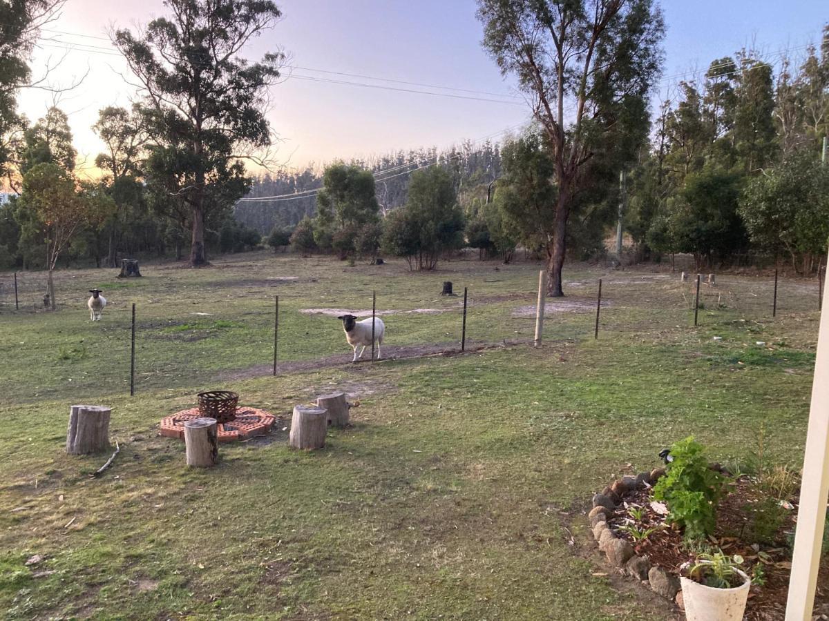 Winganah Cottage Murdunna Esterno foto